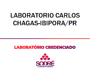 Exame Toxicológico - Ibipora-PR - LABORATORIO CARLOS CHAGAS-IBIPORA/PR (C.N.H, Empregado CLT, Concurso Público)