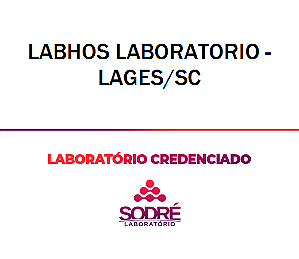 Exame Toxicológico - Lages-SC - LABHOS LABORATORIO - LAGES/SC (C.N.H, Empregado CLT, Concurso Público)