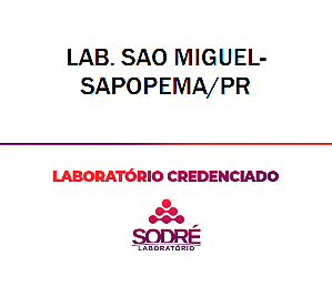 Exame Toxicológico - Sapopema-PR - LAB. SAO MIGUEL- SAPOPEMA/PR (C.N.H, Empregado CLT, Concurso Público)