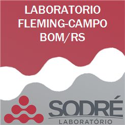 Exame Toxicológico - Campo Bom-RS - LABORATORIO FLEMING-CAMPO BOM/RS (C.N.H, Empregado CLT, Concurso Público)