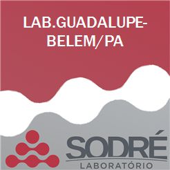 Exame Toxicológico - Belem-PA - LAB.GUADALUPE-BELEM/PA (C.N.H, Empregado CLT, Concurso Público)