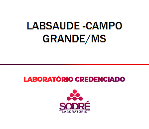 Exame Toxicológico - Campo Grande-MS - LABSAUDE -CAMPO GRANDE/MS (C.N.H, Empregado CLT, Concurso Público)