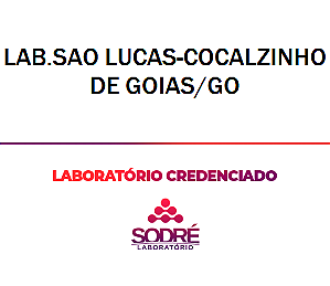Exame Toxicológico - Cocalzinho De Goias-GO - LAB.SAO LUCAS-COCALZINHO DE GOIAS/GO (C.N.H, Empregado CLT, Concurso Público)
