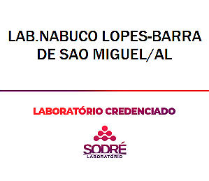 Exame Toxicológico - Barra De Sao Miguel-AL - LAB.NABUCO LOPES-BARRA DE SAO MIGUEL/AL (C.N.H, Empregado CLT, Concurso Público)
