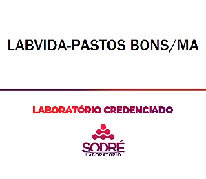 Exame Toxicológico - Pastos Bons-MA - LABVIDA-PASTOS BONS/MA (C.N.H, Empregado CLT, Concurso Público)