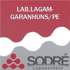 Exame Toxicológico - Garanhuns-PE - LAB.LAGAM-GARANHUNS/PE (C.N.H, Empregado CLT, Concurso Público)