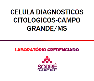 Exame Toxicológico - Campo Grande-MS - CELULA DIAGNOSTICOS CITOLOGICOS-CAMPO GRANDE/MS (C.N.H, Empregado CLT, Concurso Público)