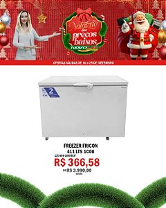 FREEZER FRICON 411 LTS 1C00
