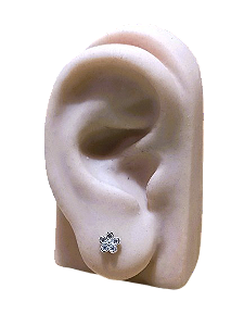 Brinco De Prata 925 Flor Florzinha Pétalas Brilhantes 5 Mm