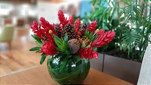 Aquário Natalino – Alpinia & Pinhas