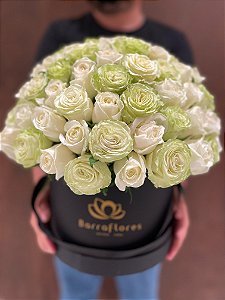 Box Wimbledon Green White