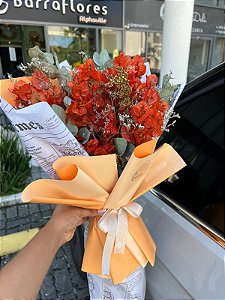 Sunset Bougainvillea