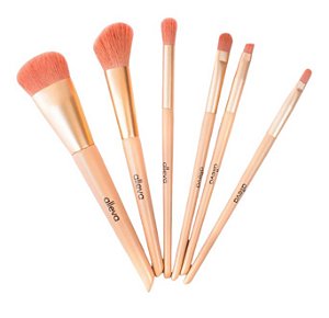 KIT COM 6 PINCEIS PARA MAQUIAGEM ALLEVA