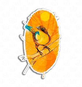 Kbça - Pássaro laranja