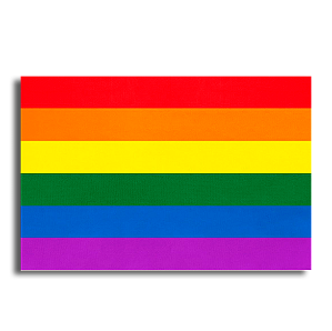 Bandeira Gay