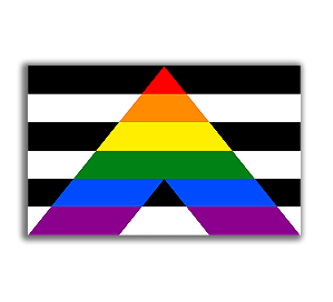 Bandeira dos aliados da causa LGBTQIA+