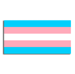 Bandeira Transexual