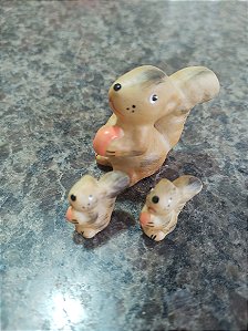 TERRÁRIO TRIO COM ESQUILOS