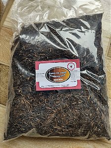 CASCA DE ARROZ CARBONIZADA (1 LITRO)