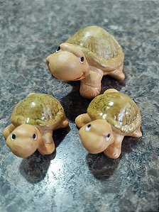TERRÁRIO TRIO TARTARUGA