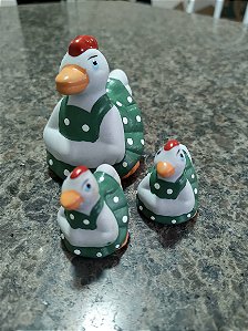 TERRÁRIO TRIO PATA DE AVENTAL