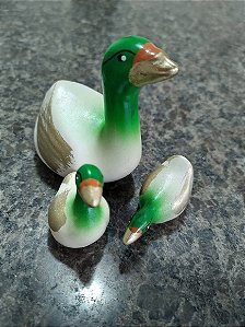 TERRÁRIO TRIO PATO COLORIDO