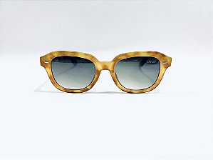 Óculos Solar Rayne