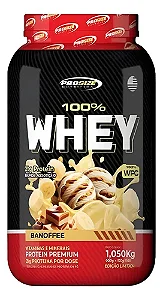 Whey Concentrado Prosize 1050g Ganho De Massa E Recuperação