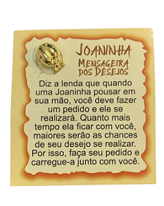 Mini Talismã da Sorte Joaninha (mensageira dos desejos)