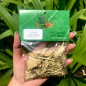 Banho de Ervas Naturais - Folha de Laranjeira