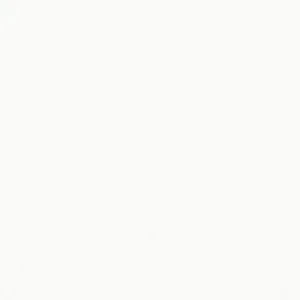 PISO ALASKA 57 x 57 BRILHANTE FIORANNO