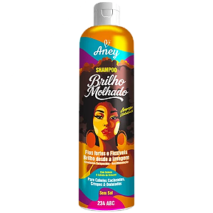 Shampoo Aney Brilho Molhado 300ml Cabelo Cacheado Crespo