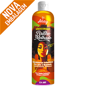 COND ANEY BRILHO MOLHADO 300ML