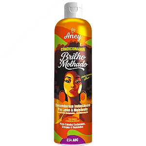 Condicionador Aney Brilho Molhado 300ml | Márcia Cosméticos