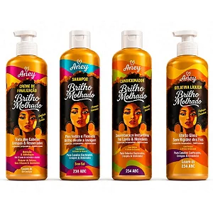 Kit Cachos Perfeitos - Linha Aney Brilho Molhado - 4 Produtos - para Crespos, Cacheados, Ondulados e Transição