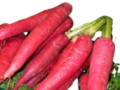 50 sementes de cenoura anatomic red