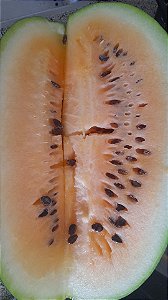 10 sementes de melancia polpa amarela