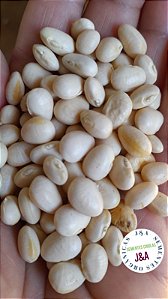 Fava branca miuda 20 sementes