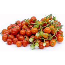 50 sementes de tomatinho silvestre