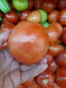 50 sementes de tomatão vermelho