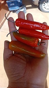 30 sementes de pimenta Jalapeno