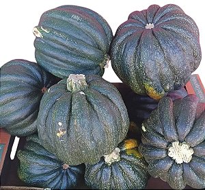 20 sementes mogango sul Minas