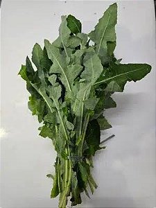 100 sementes de serralha