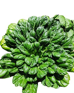 30 sementes de Couve Tatsoi Xangai