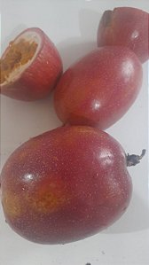 50 SEMENTES DE MARACUJA ROXO AZEDO GRAUDO