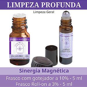 LIMPEZA PROFUNDA
