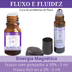 FLUXO E FLUIDEZ