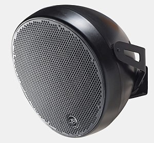 DAS CAIXA PASSIVA OVI-12-IP54 300W 12"