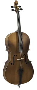 VOGGA VIOLONCELLO 4/4 VOC144N