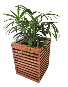 Vaso De Plantas - Cachepô De Plantas Em Madeira Maciça